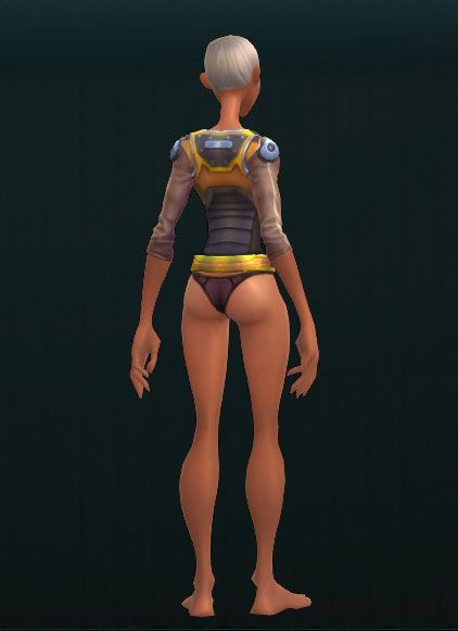 Armorer's Steel Chest Guard 3390