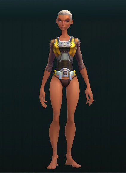 Armorer's Steel Chest Guard 3389