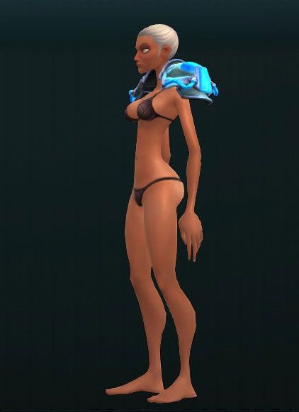 Brigadier's Bombarding Shoulder Guards 3406