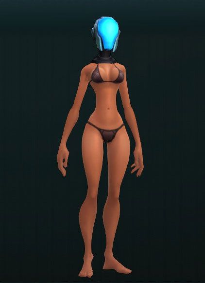 Brigadier's Warding Face Guard 3413