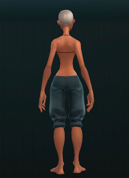 Champion's Thwarting Shinplates 3245