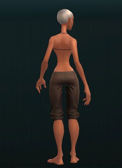 Exanite Bionic Leg Plates 2676