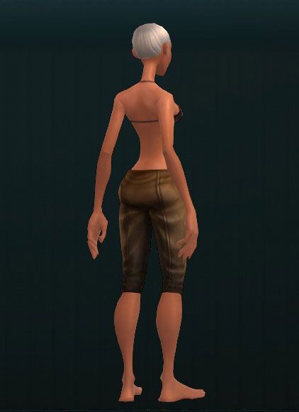 Explorer's Comfortable Pants 2205