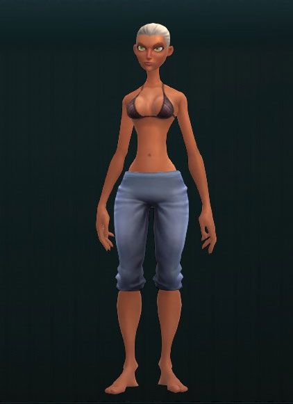 Fine Metal Leg Guards 3653