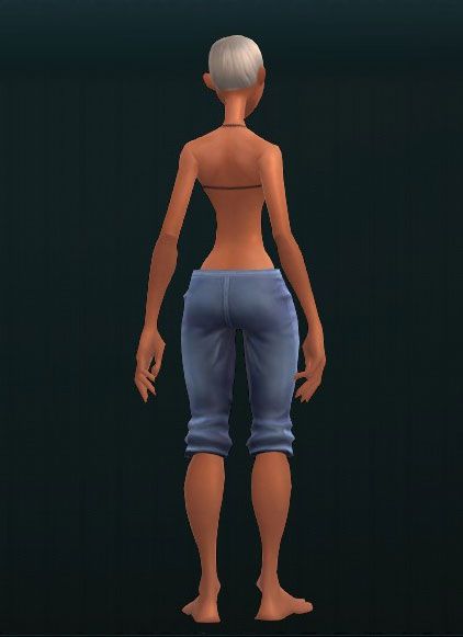 Fine Metal Leg Guards 3654