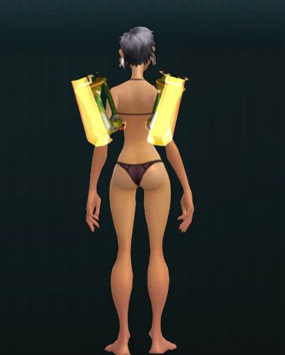 Frequency Modulators 876