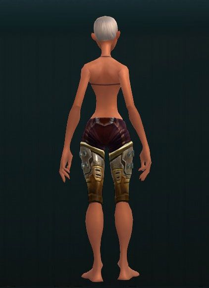 Galaxtec Metal Leg Guards 3912