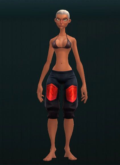 Guardian's Thwarting Shin Plates 3287