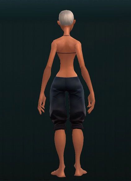 Guardian's Thwarting Shin Plates 3288