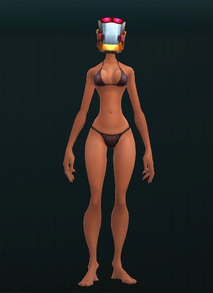 Imperial Trooper's Head Guard 2689