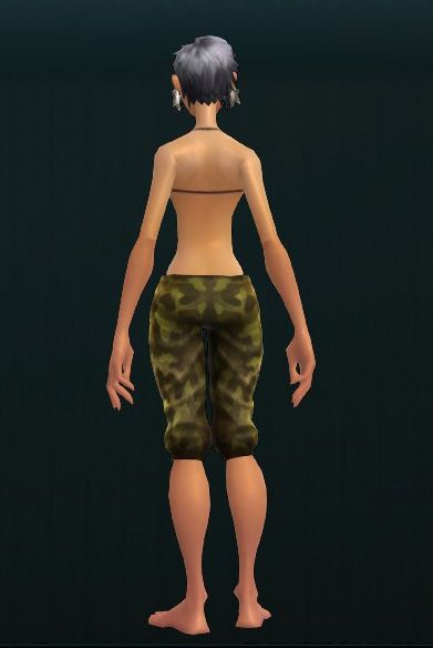 Liquidator's Invasive Flexipants 2223