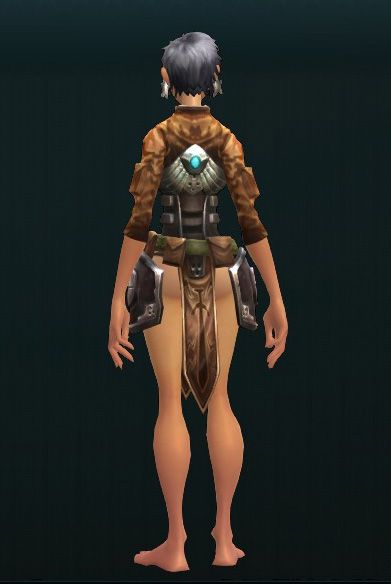 Liquidator's Invasive Mesh Guard 2225