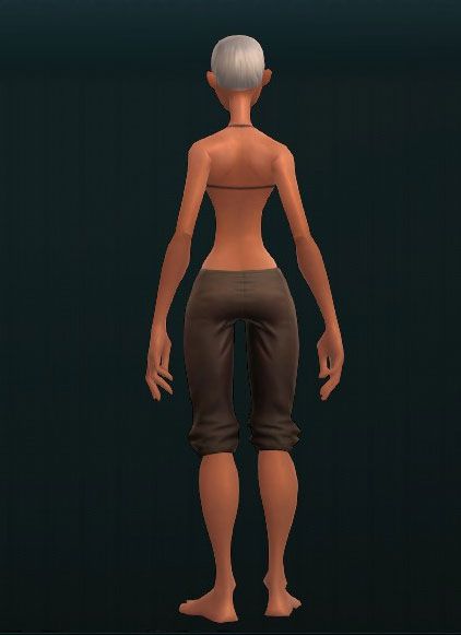 Merciless Soldier's Plate Leggings 2669