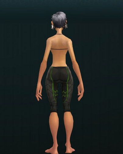 OUTFIT_Ascendancy_Disciple_Pants 260