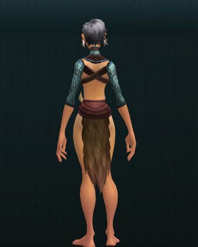 Wildstar Costume Slots Wildstar Costume Slots