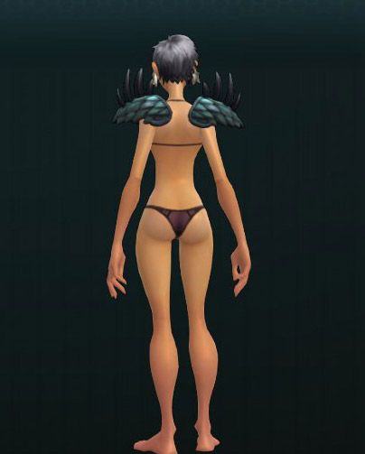 OUTFIT_DrakenVillager_001_Shoulders 271