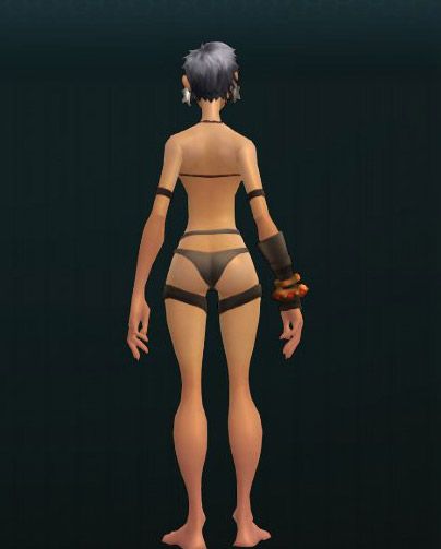 OUTFIT_SwordMaiden_001_Body 315