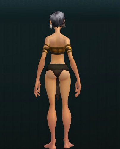 OUTFIT_SwordMaiden_002T2_Body 319