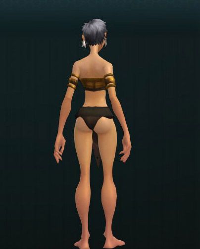 OUTFIT_SwordMaiden_002T2_Body 340