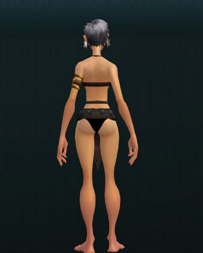 OUTFIT_SwordMaiden_002_Body 317