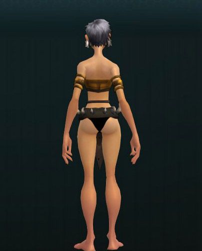 OUTFIT_SwordMaiden_003_Body 321