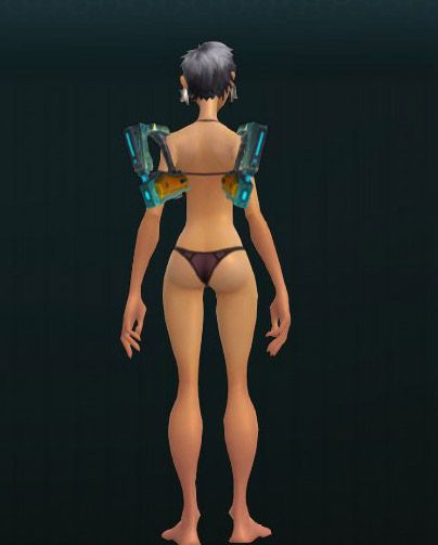 Polaris SuperZap! Paddles 681