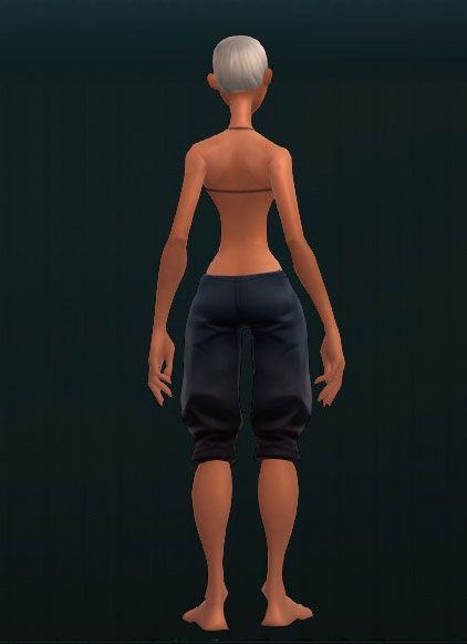 Pugilist's Warding Shinplates 3530