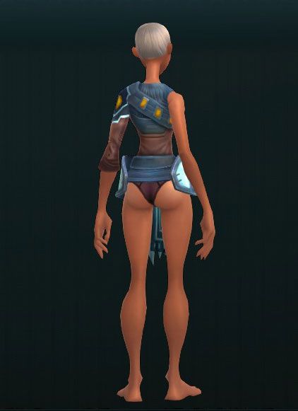 Quality Steel Chest Guard 3730