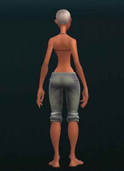 Quality Titanium Greaves 3508