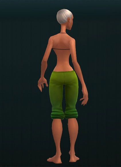 Sentry's Protoplate Greaves 3882