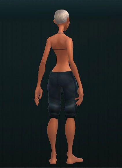 Settler's Trusty Pants 2161