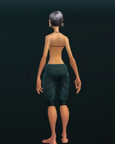 Settler's Workpants 145