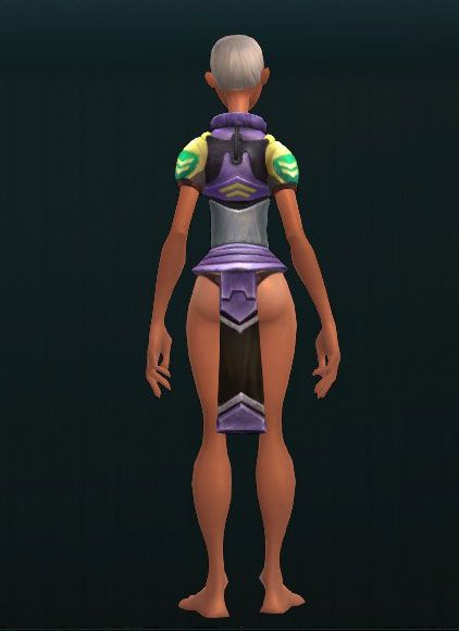 Simple Steel Chest Guard 3667
