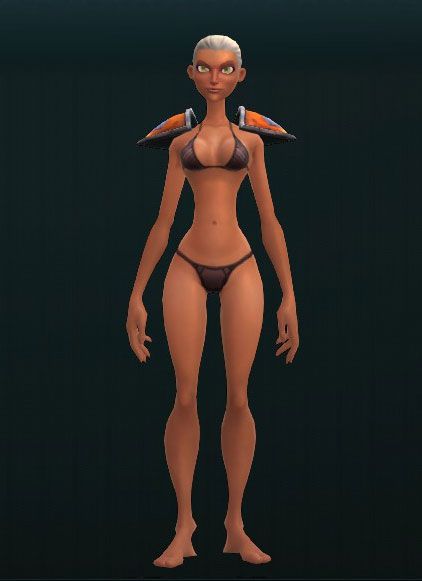 Standard Steel Pauldrons 3118