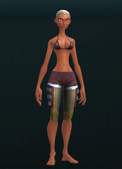 Stone Mercenary's Leg Guards 2693