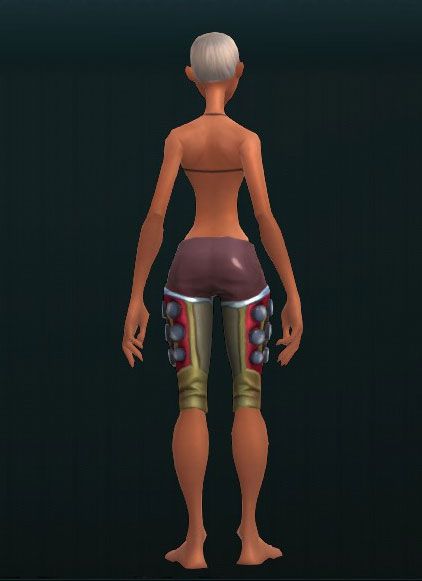 Stone Mercenary's Leg Guards 2694