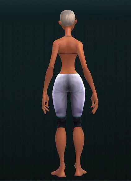 Superior Steel Greaves 3179