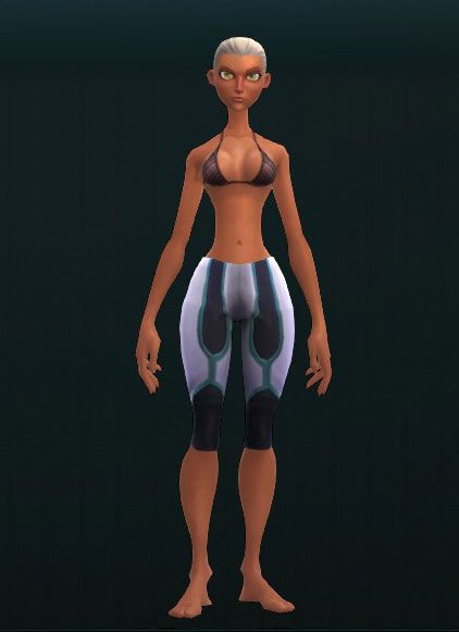 Superior Steel Greaves 3178