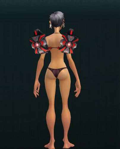 Superior Warden's Zapillators 859