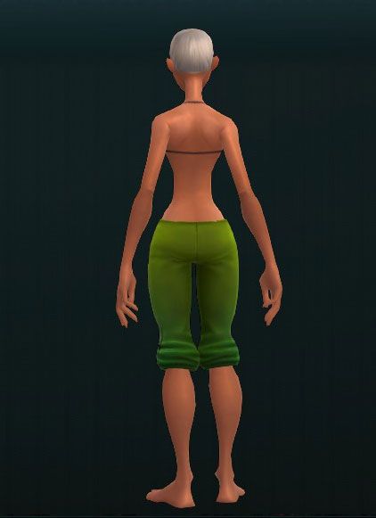 Technician's Protoplate Greaves 3844