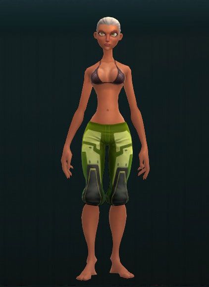 Technician's Protoplate Greaves 3843