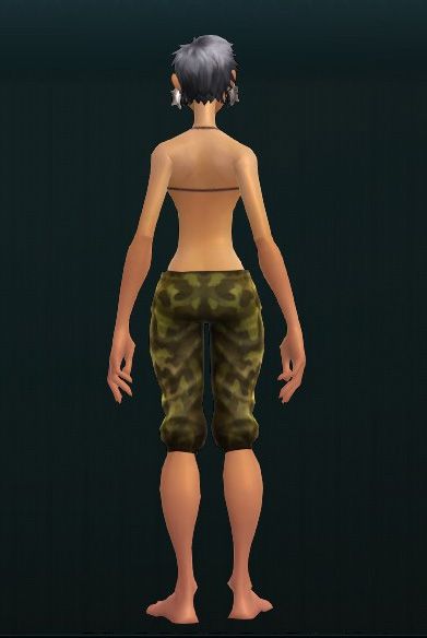 Theurgist's Restorative Flexipants 2268