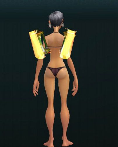 Thunderfoot's Panzershockers 892