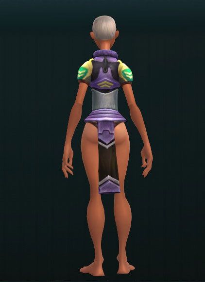 Unadorned Steel Chest Guard 3679