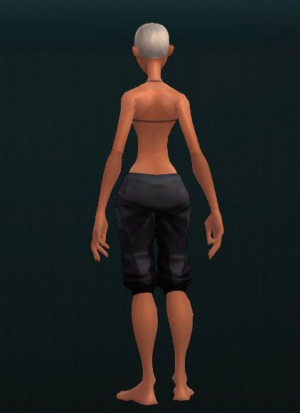 Vanquisher's Thwarting Shin Plates 2615