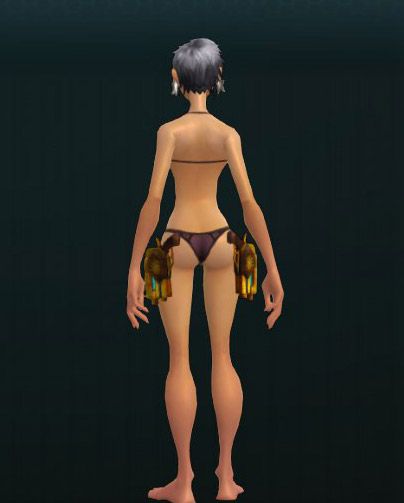 WPN_A_Pistols_1H_016A 438