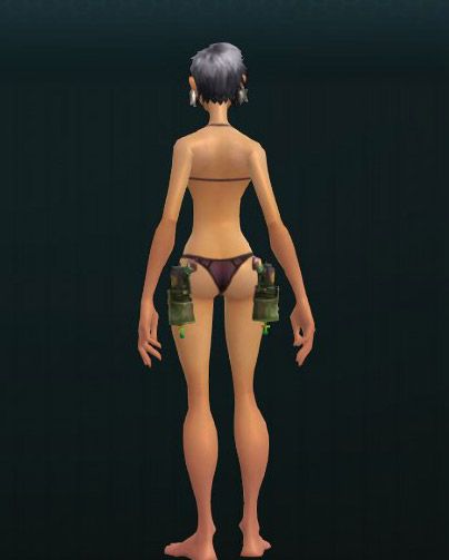 WPN_B_Pistols_1H_011A 449