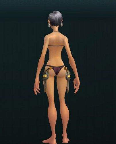 WPN_C_Pistols_1H_013 455