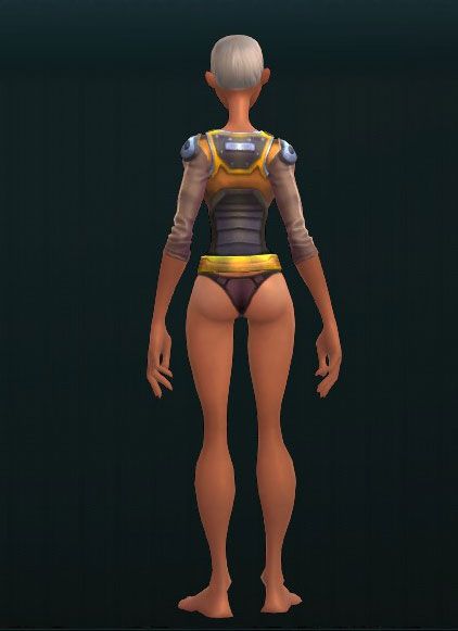 War Vest of the Huntress 3790