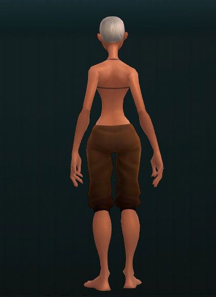 Warlord's Assailing Shin Plates 2578